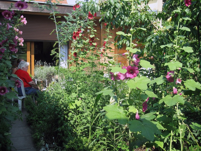 Le jardin microcosme d'Yvette à Bagnolet (93) - © M. Paris